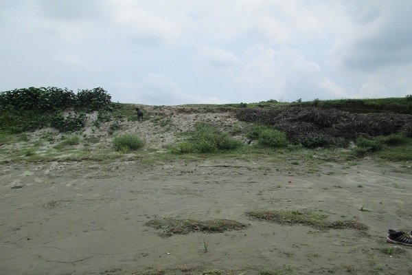 Looking north from the confluence