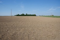 #2: View North (from just outside the hedge, 4m North of the point) 