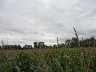 #3: Süden; view south