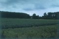#2: Looking South
