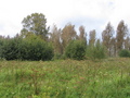 #2: East
