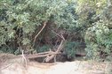 #7: One of the stream crossings
