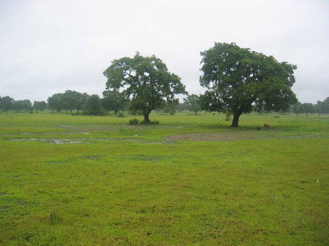 The Confluence - View to the South