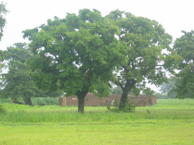 House that can be seen from the confluence point