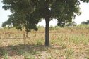 #2: East