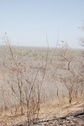 #4: Looking north at 60 m from point, on top.