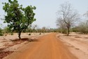 #6: The track between Kombissiri and Gaongho