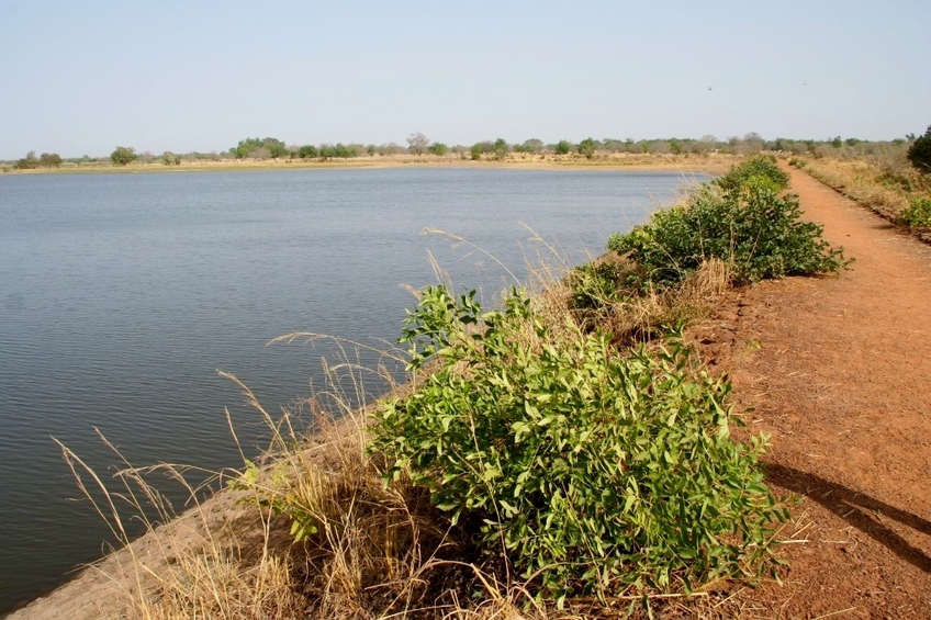 The Savili dam