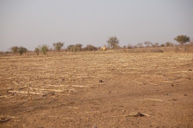 Looking north: See the village in background