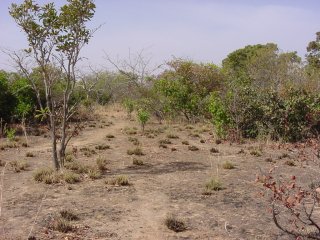 #1: Looking northwest from the Confluence