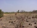 #3: Looking southeast from the Confluence (note evidence of bush fires)