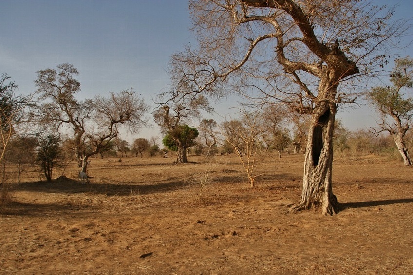 View to the South