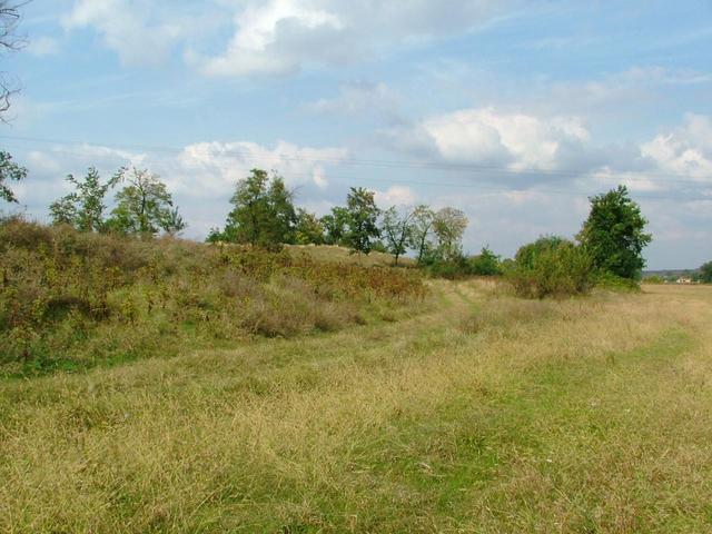 A view from the confluence to the North.