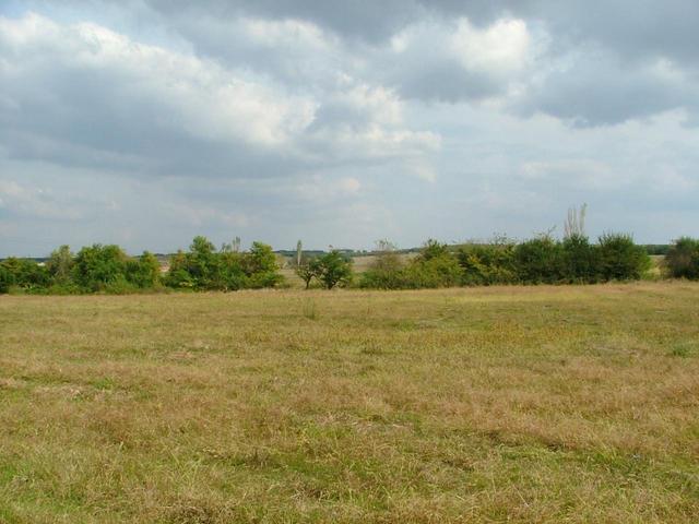 A view from the confluence to the East.