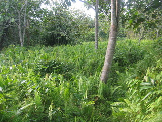 #1: The confluence, seen from 20m distance.