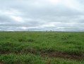 #3: South view