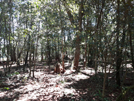 #3: Visão norte - north view