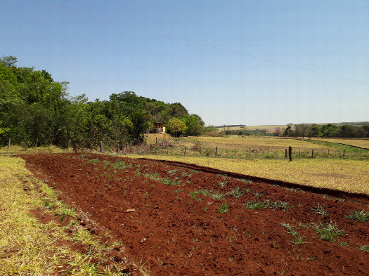 #1: Visão geral – general view