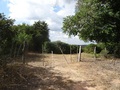 #6: Acceso a la plantación de café. Access to coffee plantation