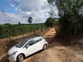 #7: Calle frente a la plantación. Road in front of coffee plantation