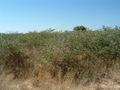 #3: North view