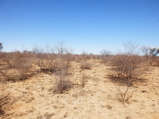 #1: The Confluence from 15 m distance