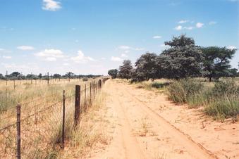 #1: Facing south along the Namibian/Botswana boarder