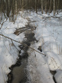 #7: The frozen swamp
