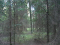#7: View to the South