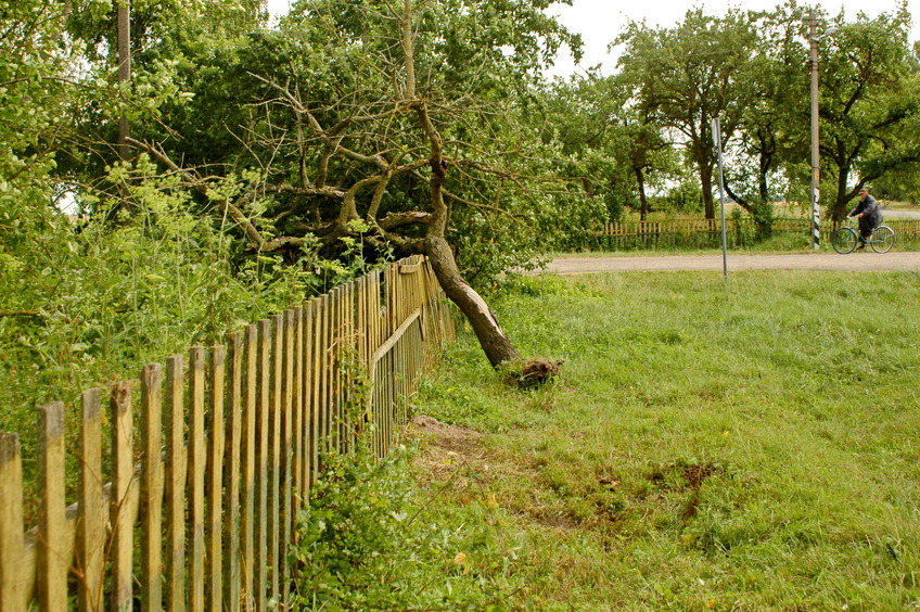 The fence around confluence / Ограда вокруг конфлюенции