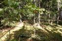 #4: North