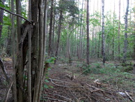 #2: North view