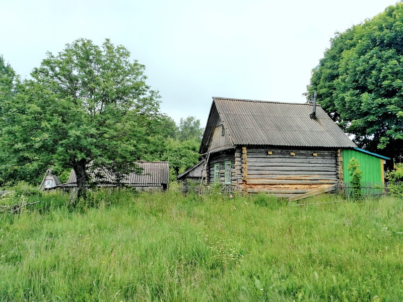 House in Suslovka