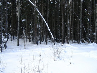 #1: General view of the confluence