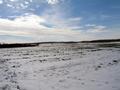 #7: View southwest across the field and towards where I parked