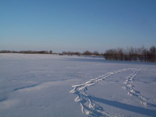 #1: View to the East with Snowshoe Tracks Leading to Confluence