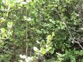 #4: South View