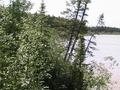 #5: West View