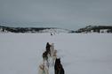 #7: Dog teams heading north east