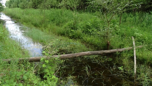 #1: #01 location of CP 45N-75W from around 60 m at the upper left corner, right from the ditch