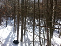 #3: South