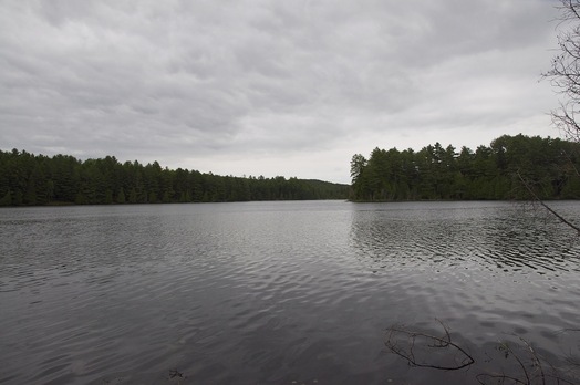 #1: View East towards the confluence point, in this lake, 94 metres away
