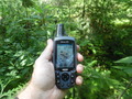 #5: GPS view