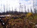 #4: Looking south from the confluence