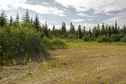 #5: View West (from the clearing, 13 metres from the confluence point)