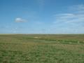#4: Looking North from the confluence.