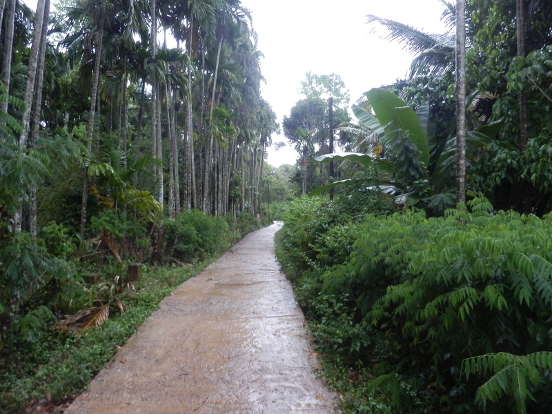 Track 89 m from the Confluence Point