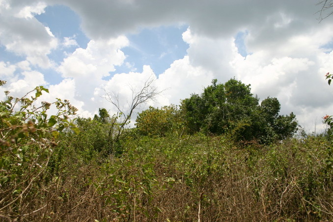 Terrain on the way to the CP