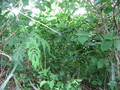 #3: View of the South