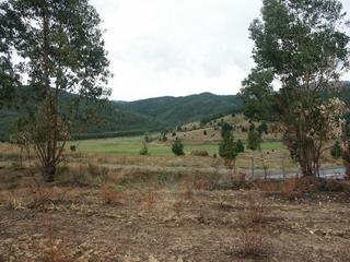 #1: View looking north from S38 W73